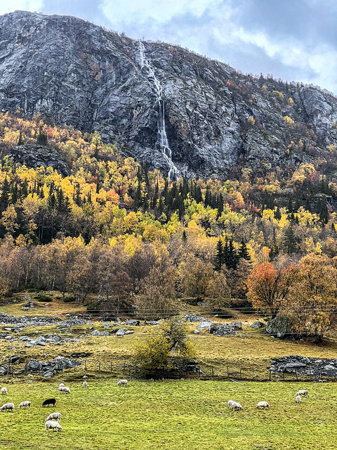 Autumn in Hemsedal