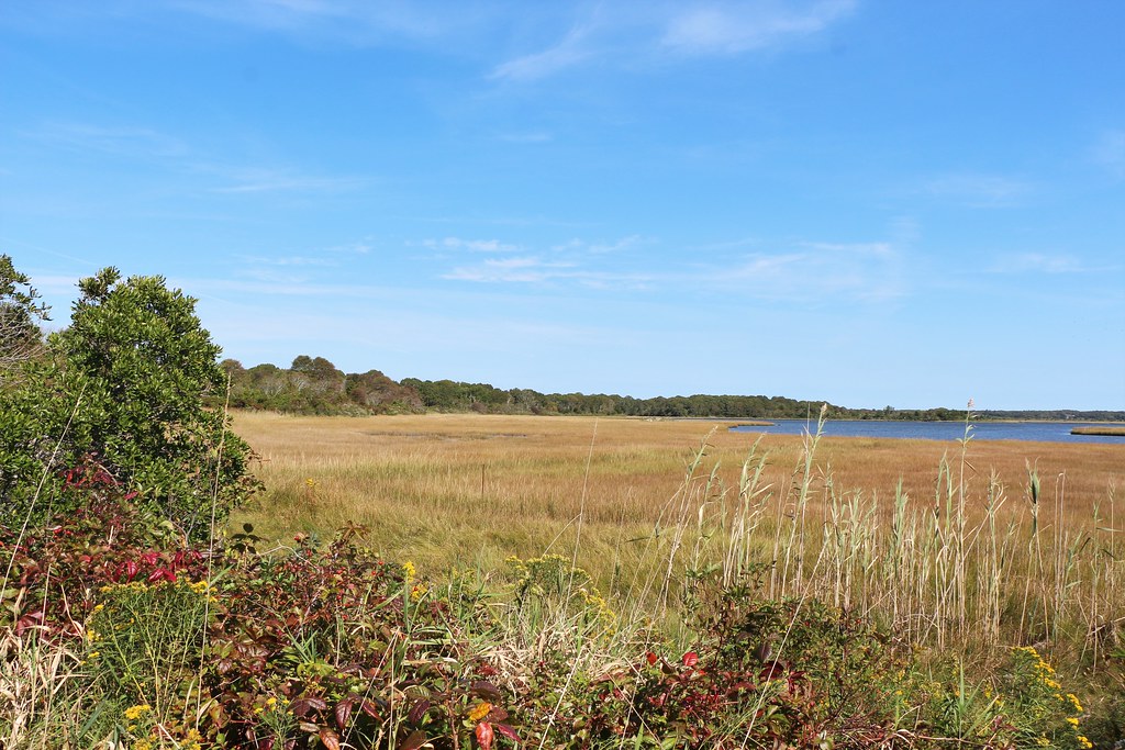Allens Pond Salt Marsh – Dartmouth and Westport, Massachusetts