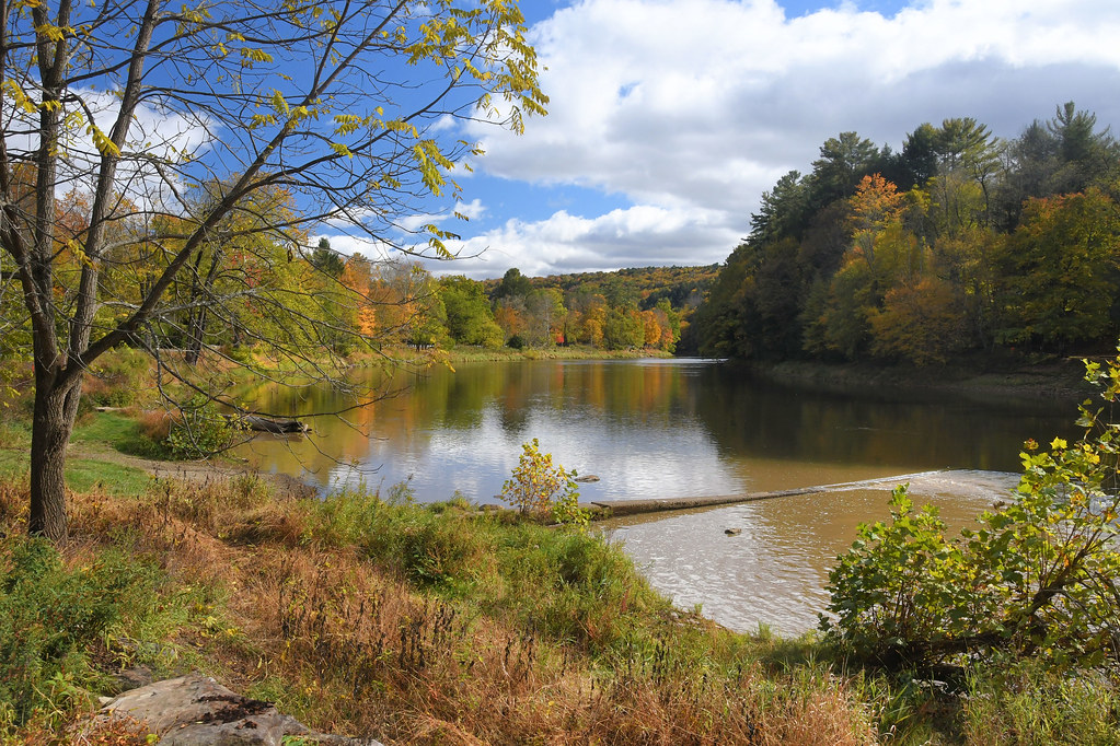 Cooksburg Pa 2019 Clarion River | Cook Forest State Park, Cooksburg, Penn… | Robert ...