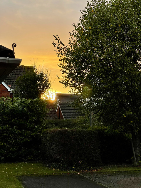 Sunrise over the houses