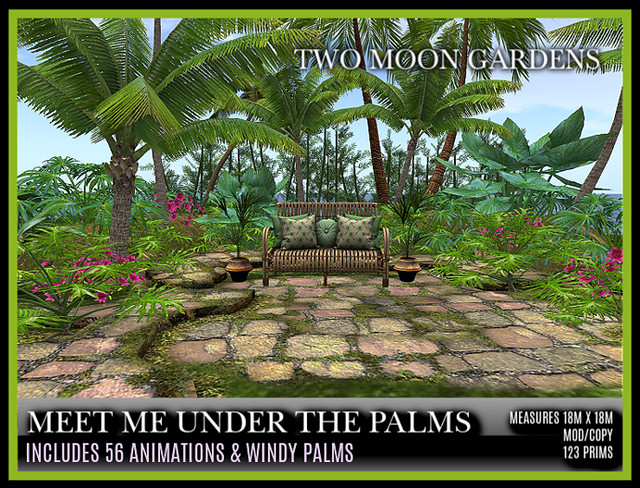 TMG – Meet me Under the Palms