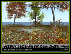 TMG - A Splash of Autumn - Grove