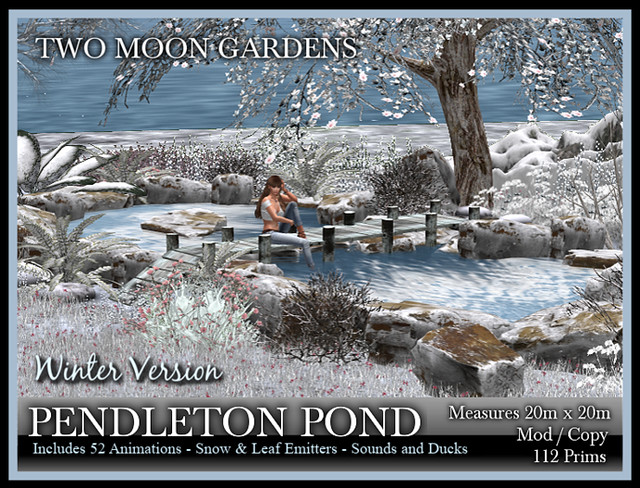 TMG - Pendleton Pond in Winter