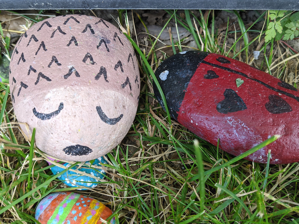 Pet Rock