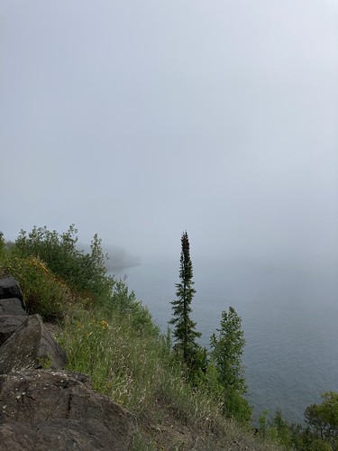 Foggy Lake