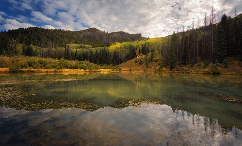 Changing Leaves at Opal Lake by chris lazzery, Just spent a week on the road exploring unfamiliar parts of Colorado. Lots of miles driven, lots of 