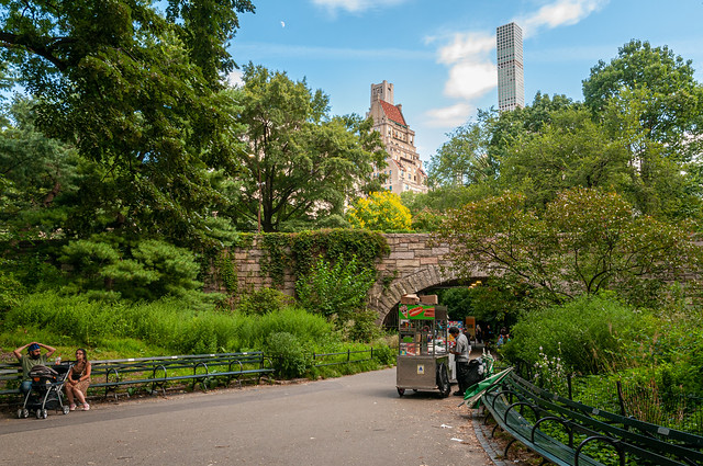 Stroll in Central Park