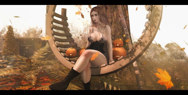 Pumpkins & Leaves.