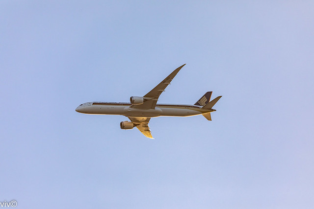 During Covid, Singapore Airlines Boeing 787-10 Dreamliner from Singapore with dusk light on its body/underwing approaches Sydney airport, Sydney, New South Wales, Australia - captured over our garden. Uncropped image