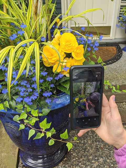 A photo of me photographing a flowerpot