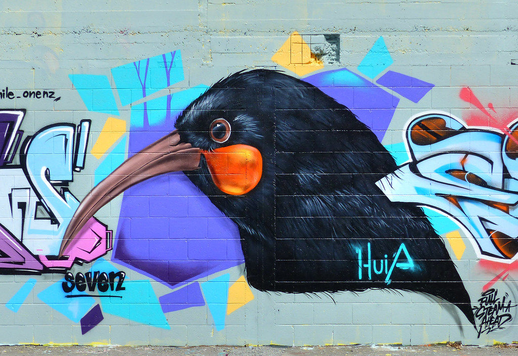 The Huia. NZ Bird.