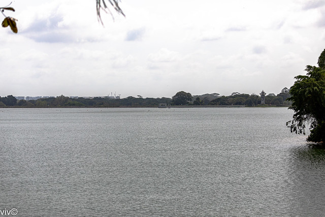 On a very hot humid afternoon, a scenic view of the Upper Seletar Reservoir, Mandai, Singapore. It features a viewing tower, and is a frequent venue for joggers, walkers and fishing enthusiasts.