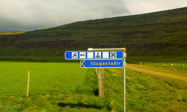 Illugastaðir and seal colony-6265