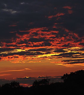 'Fiery Sunset' - Near Ratcliffe Culey, Leicestershire