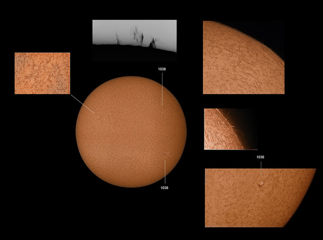 The Sun and Sunspots 1036 and 1038 Ha Filter - Dec 21, 2009