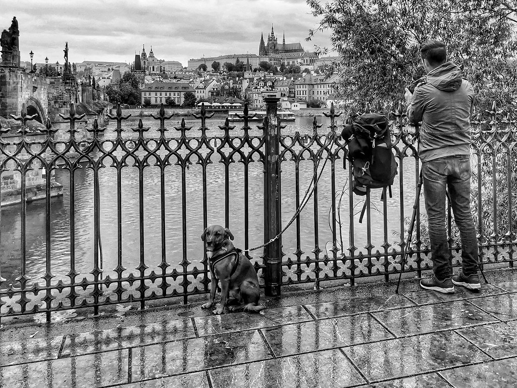 Photographer and his dog