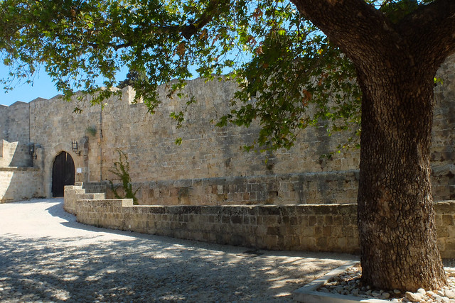 The old tree by the medieval wall