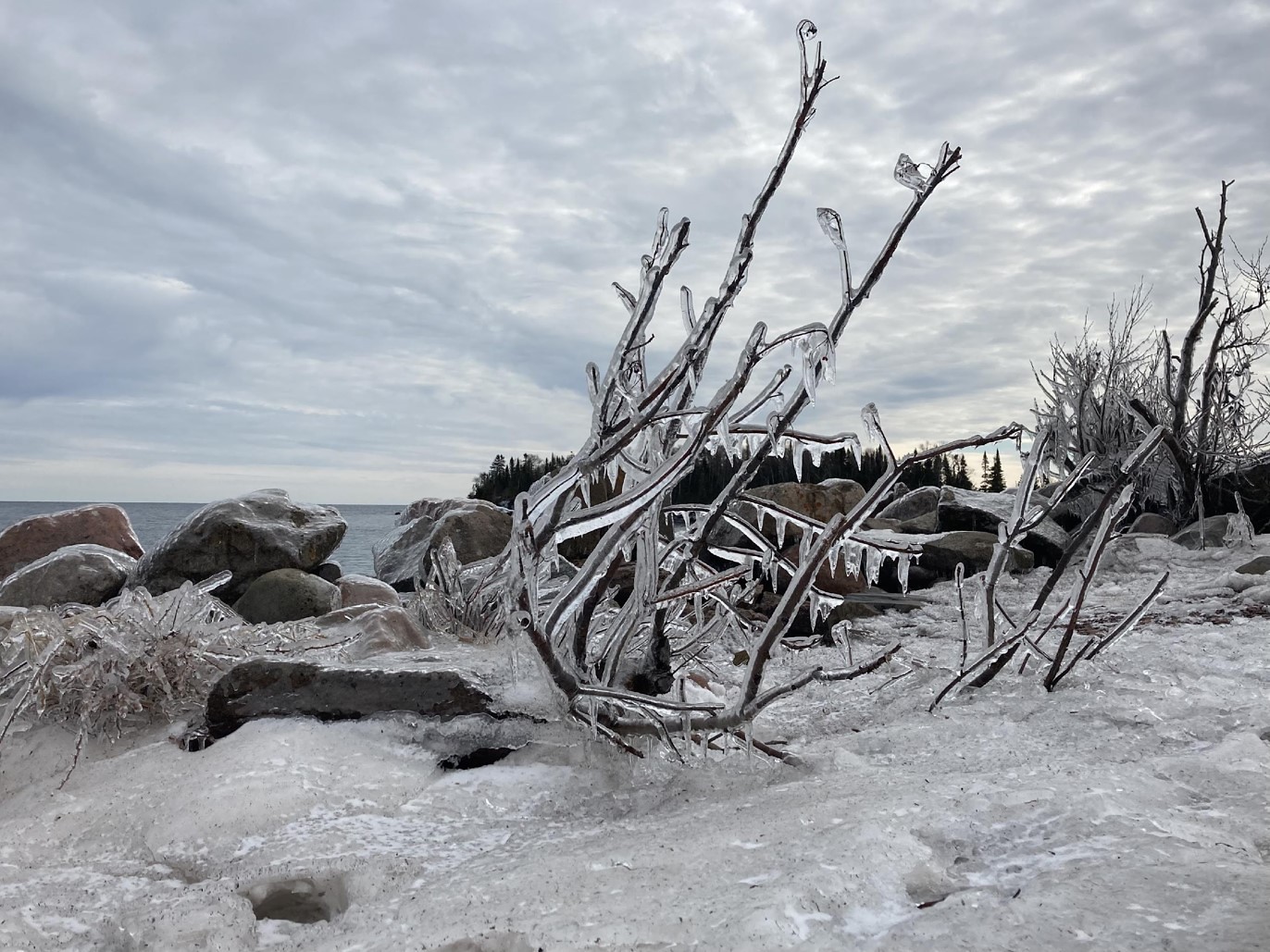 Frozen Ice in Winter