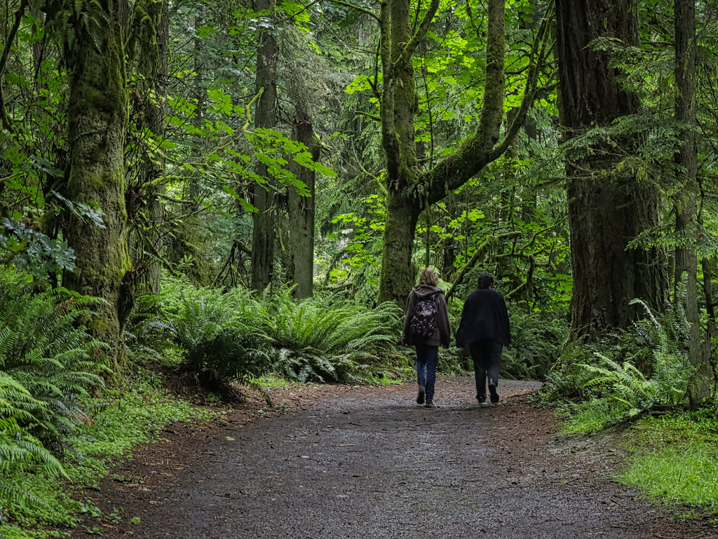 Walking the  Point Defiance Rain Forest