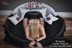 - Xplicit Furnishings - NEW RELEASE - Pet Bed