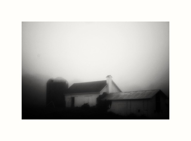 country fog