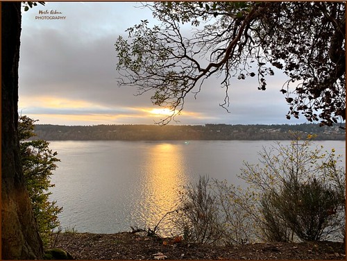 sunsets sun nature water waterscene pugetsound tacoma washington gigharborpicnicarea pointdefiancepark trees