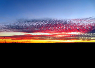 Mackerel Sky at Sunset