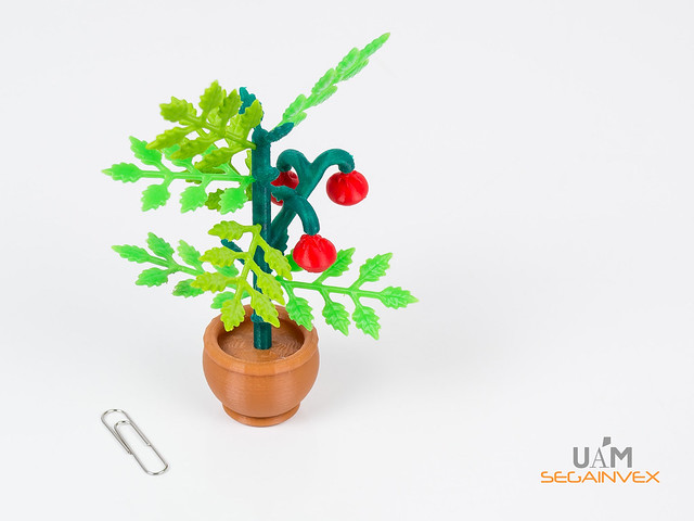 Modelos de plantas impresos en 3D