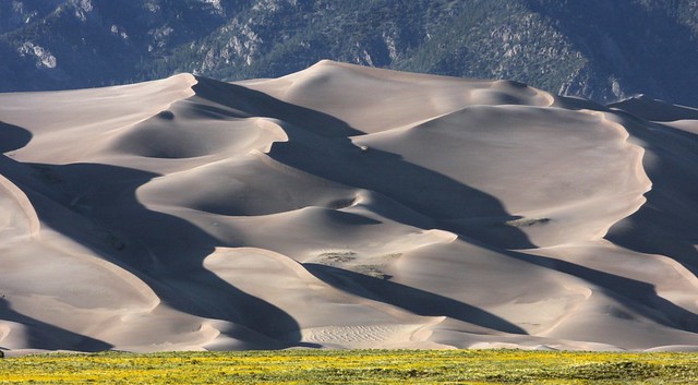 Large Transverse Dunes / Great Sand Dunes National Park