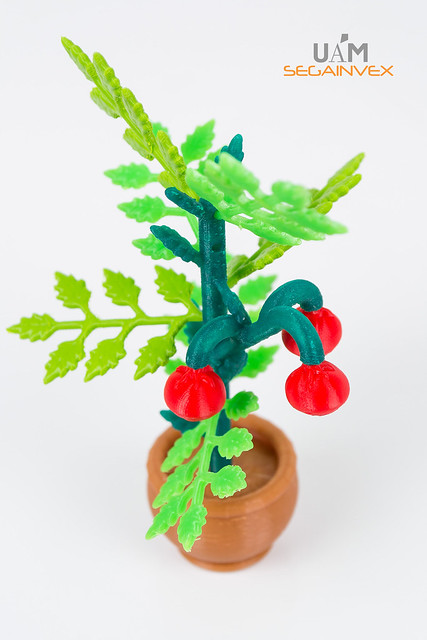 Modelos de plantas impresos en 3D