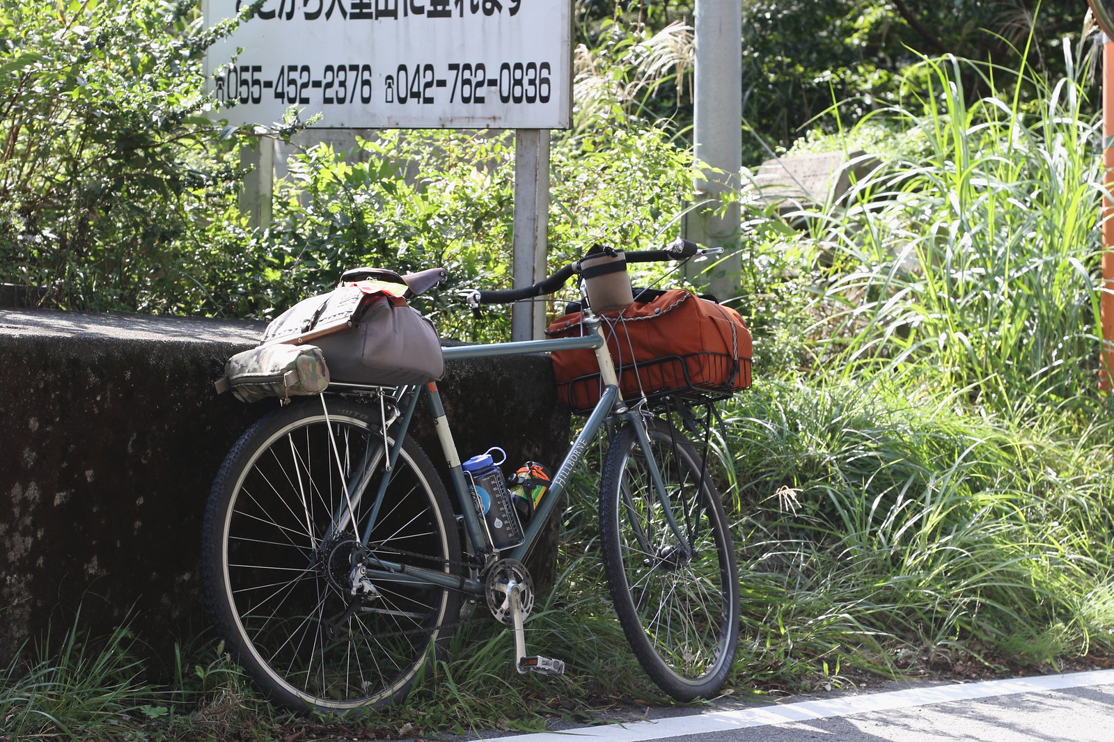 Bicycle camping for Suigennomori