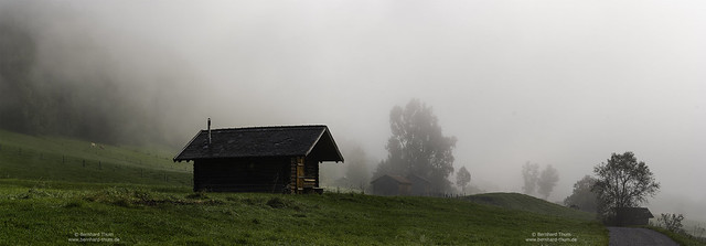 Morning mist at Murnauer Moos