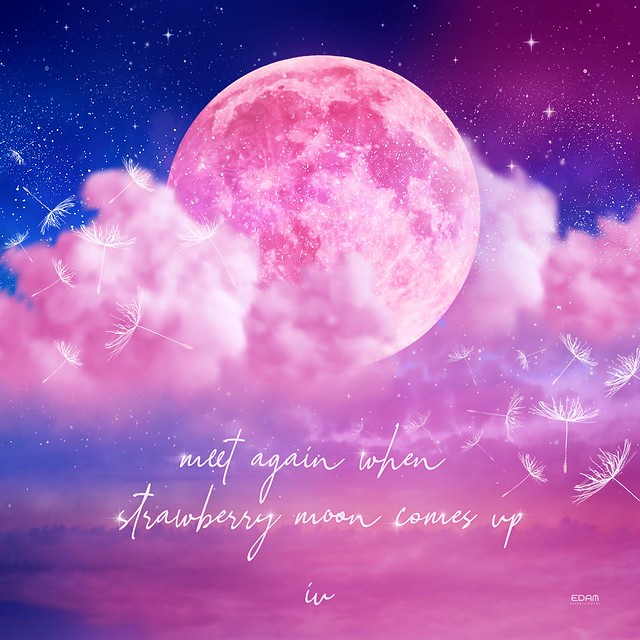 IU Strawberry Moon We'll Meet Again