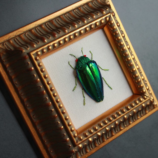 The Jewel Beetle