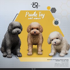 [Rezz Room] Poodle Toy  Adult Animesh (Companion)