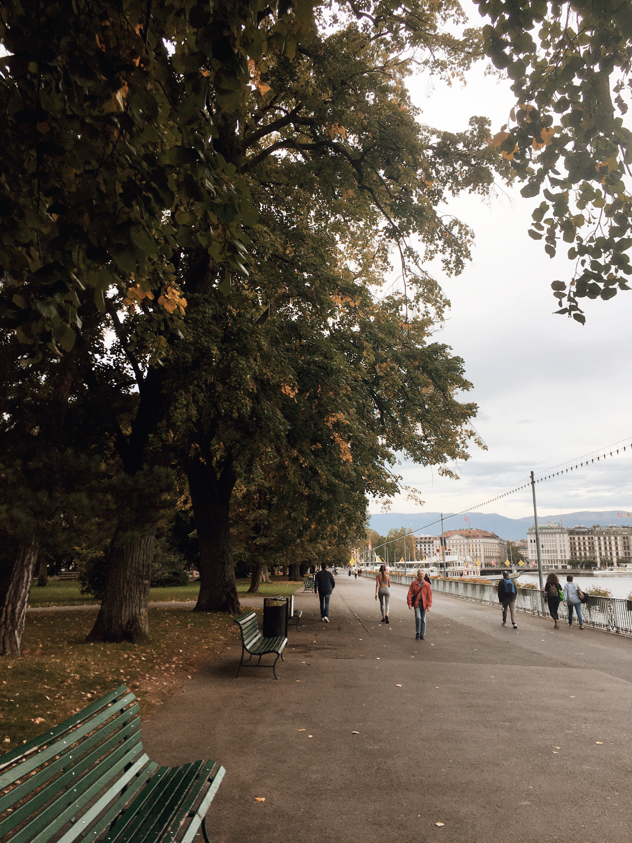 Photo of pedestrians walking along a bridge in Geneva, with yellowing trees on the left side.