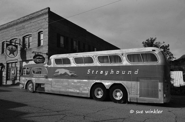 Greyhound bus BW