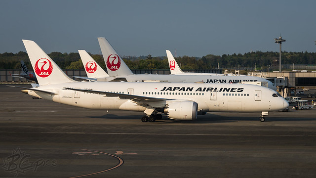 JA839J - Japan Airlines - Boeing 787-8 Dreamliner