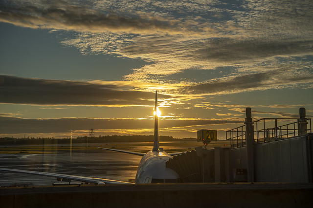 Sunrise at Halifax, Stanfield Airport