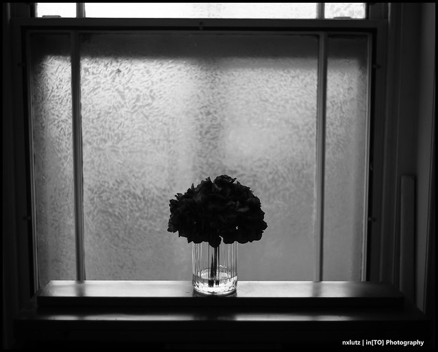 Flowers on a Window Sill, 2021