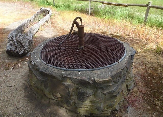Springton. Adelaide Hills. Friedrich Herbig his wife and two babies lived for two years in a gum tree until he built a pug and pine house. 1858 to 1860.here is his well and water trough.