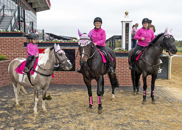 Canter for the Cause. Photo Maryland Jockey Club.