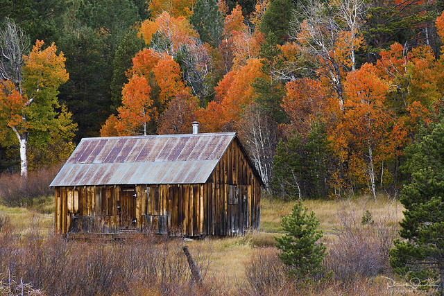 Autumn at the Cabin