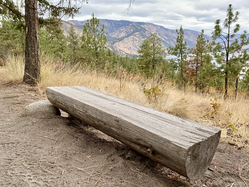 Bench with a view
