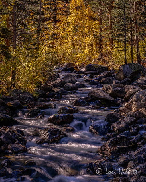 Fall in the Eastern Sierra