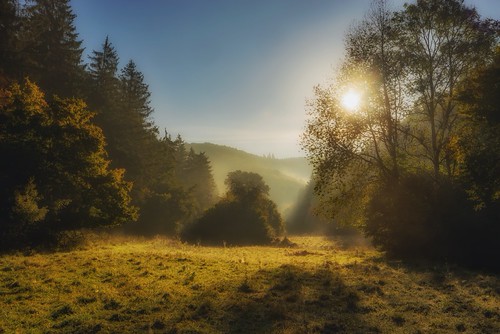 Morgenstimmung in der Ahreifel by clemensgilles, herbst herbststimmung automne autumn bäume wälder forest foret trees wanderlust hiking foggy illumin