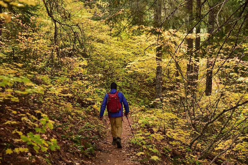 Dog River Trail