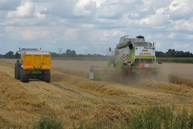 Claas Lexion 460 Sturre Emmercompascuum