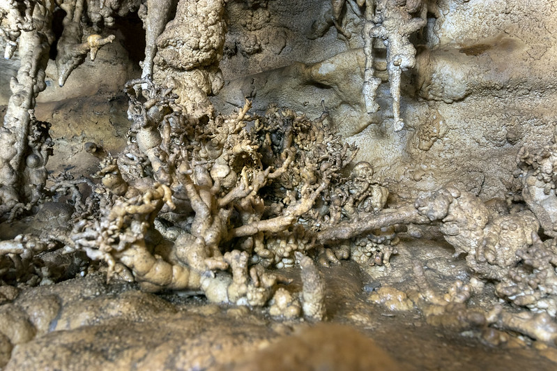 Helictites, Fern Cave, Jackson County, Alabama 2