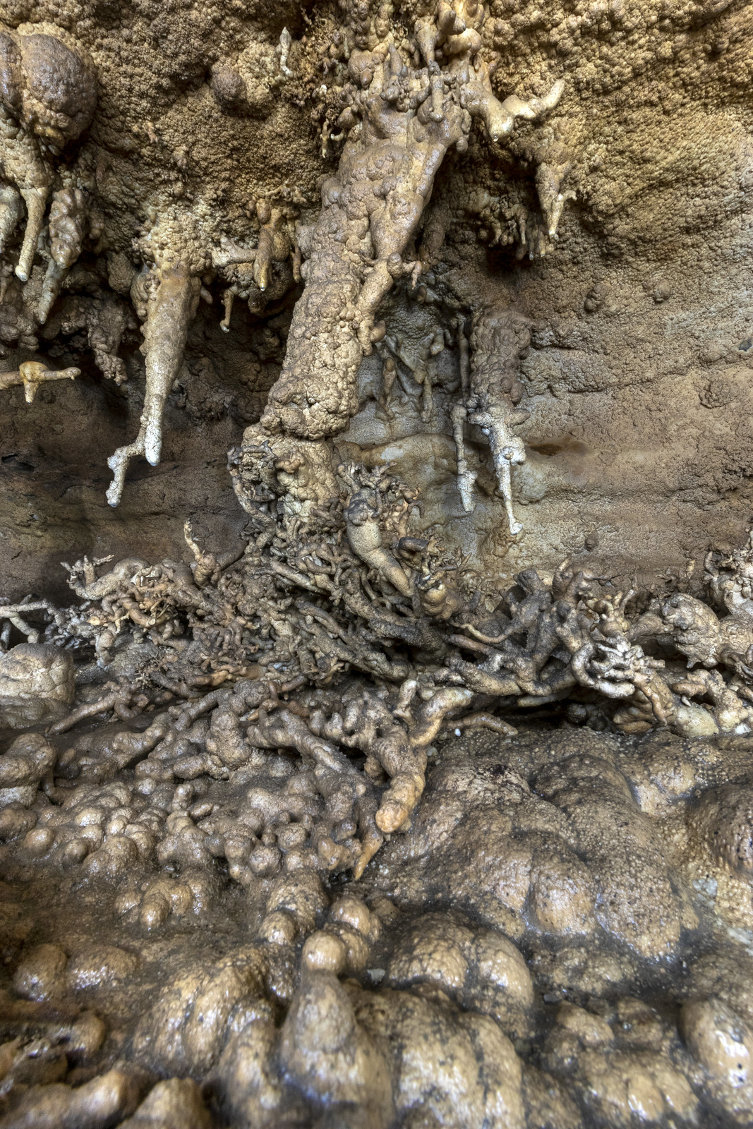 Helictites, Fern Cave, Jackson County, Alabama 7